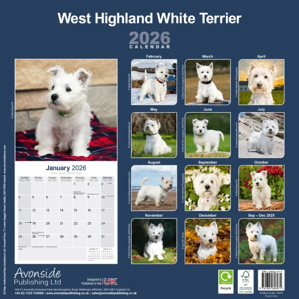 Kalender 26 West HW Terriers as – Bild 2