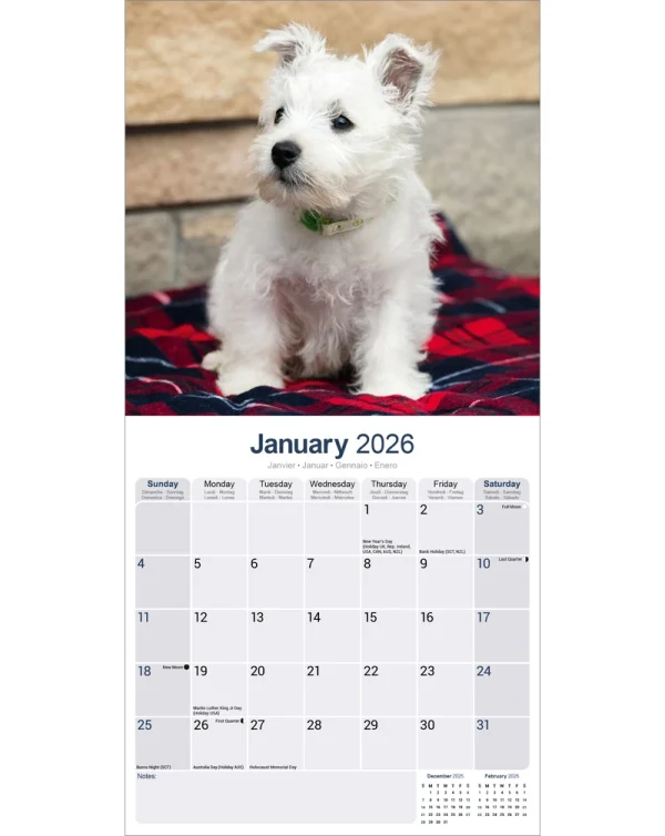 Kalender 26 West HW Terriers as – Bild 3