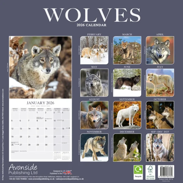 Kalender 26 Wolves as – Bild 2