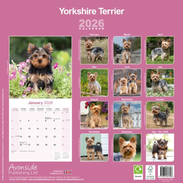 Kalender 26 Yorkshire Terriers as – Bild 2