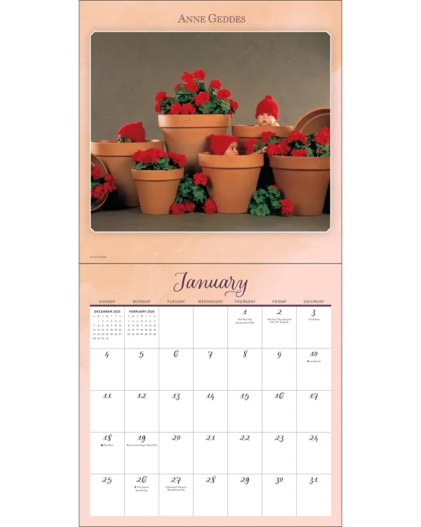 Kalender 26 Anne Geddes amp – Bild 2