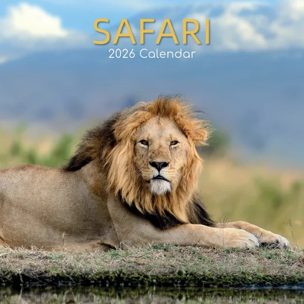 Kalender 26 Safari gtd