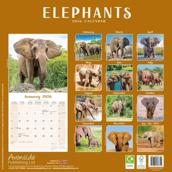 Kalender 26 Elephants as – Bild 2