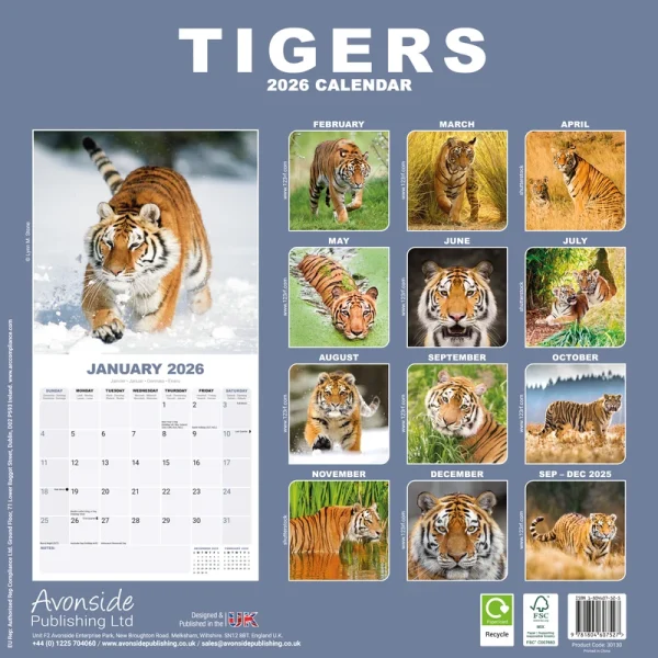 Kalender 26 Tigers as – Bild 2